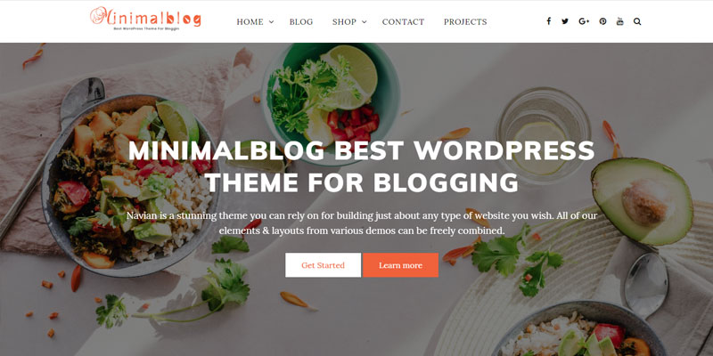 Best WordPress Themes for Blogs and Ecommerce