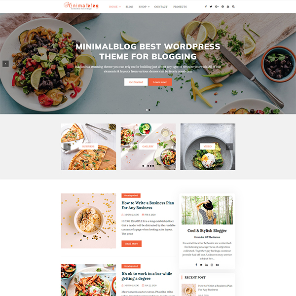 Best WordPress Themes for blogs and Ecommerce